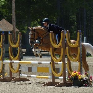 Meet your Posher, Lindsey